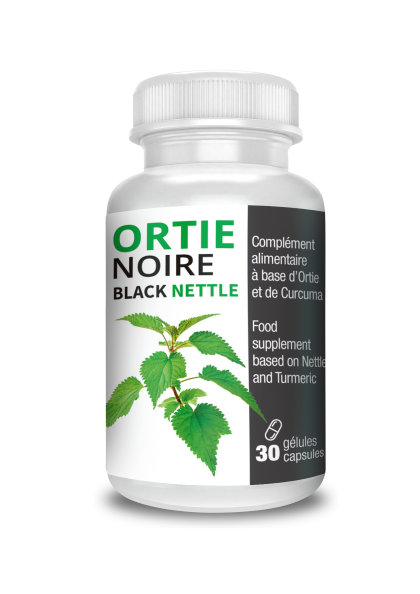 Ortie Noire